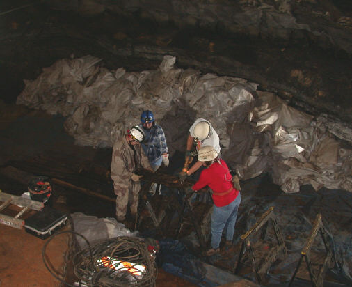 Vanderbilt_Hall_chop_shop.__6_Aug_2002_RAO