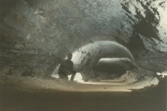 GREAT_ONYX_8_2_90_19